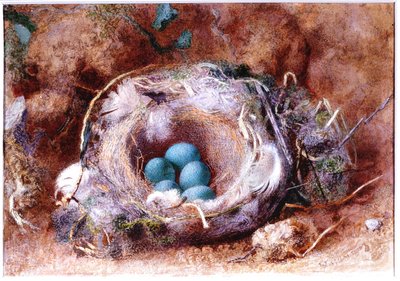 Vogelnest von William Henry Hunt