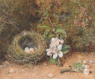 Vogelnest mit Apfelblütenzweigen von William Henry Hunt