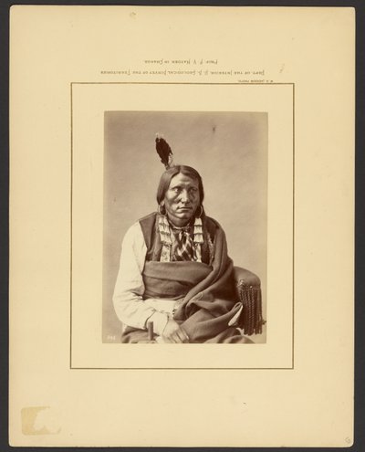 Angriff auf die Hauk - (Brulé Dakota) von William Henry Jackson