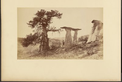  von William Henry Jackson