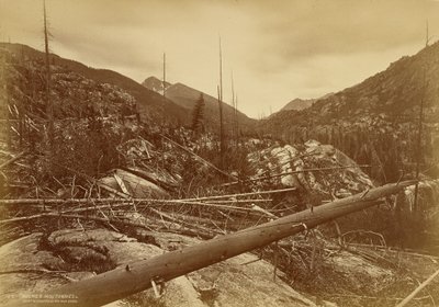 „Rundhöcker“ nahe dem Berg des Heiligen Kreuzes von William Henry Jackson