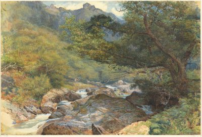 Am East Lyn, Nord-Devon von William Henry Millais