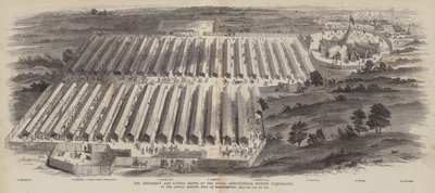 Die Geräte- und Viehschauen der Royal Agricultural Society of England beim Jahrestreffen in Northampton, 20., 21., 22. Juli 1847 von William Henry Pike