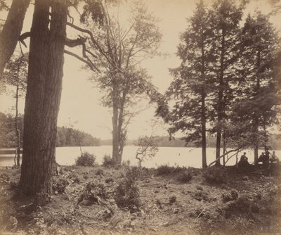 Ganoga-See, ca. 1895 von William Herman Rau