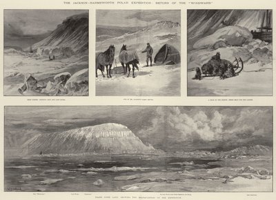 Die Jackson-Harmsworth-Polarexpedition, Rückkehr der Windward von William Heysham Overend