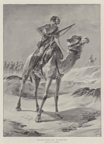 Die einheimische ägyptische Armee, das Kamelkorps von William Heysham Overend