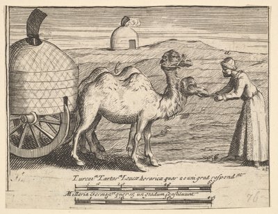 Zwei Dromedare Aubry de La Mottrayes Reisen durch Europa, Asien und in Teile ..., 1723-24 von William Hogarth