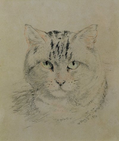 Getigerte Katze, 1874 von William Huggins