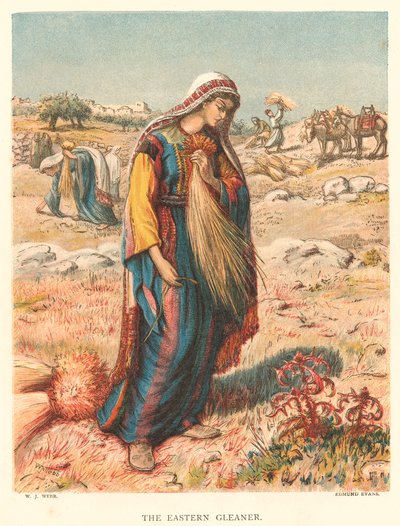 Der östliche Sammler von William J. Webbe or Webb
