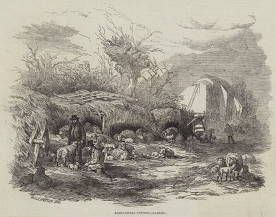Landwirtschaftliche Bilder, Lammen von William James Linton