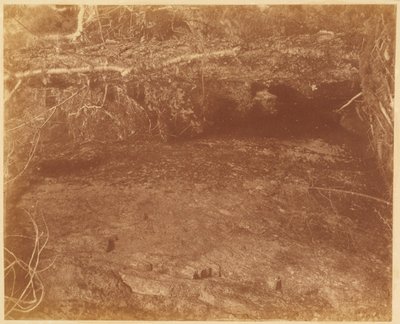 Ohne Titel, aus dem Portfolio Der Wald: Adirondack-Wälder von William James Stillman