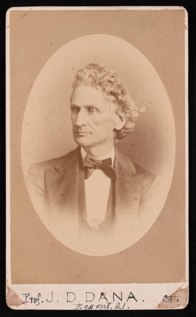Porträt von James Dwight Dana von William Notman