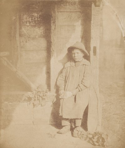 Junge schält Rübe von William P Sherlock