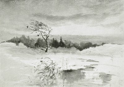Landschaft mit Wasser und windgepeitschtem Baum von William Parsons Winchester  Dana