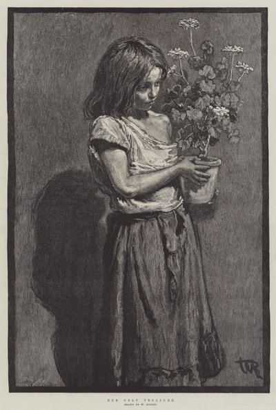 Ihr einziger Schatz von William Rainey