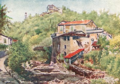 Olivenmühle, Dolcedo von William Scott