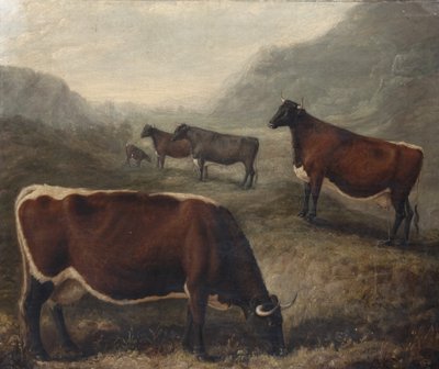 Fünf Glamorgan-Rinder von William Shiels