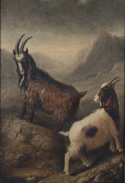 Zwei walisische Ziegen von William Shiels
