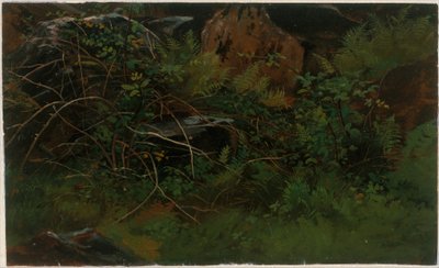 Naturstudie von William Stanley Haseltine