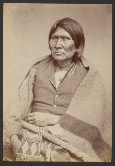 Comanche-Häuptling zu Pferd [Tuh-huh-yet, Nau-qua-hip, Meisterreiter] von William Stinson Soule
