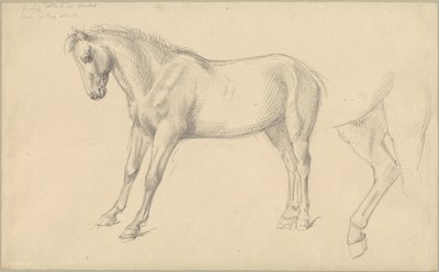 Studien eines Ponys von William Strutt