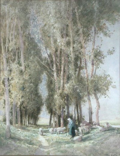 Eine Schäferin und ihre Herde, Holland von William Tatton Winter