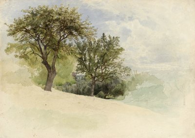 Landschaft mit Bäumen auf einem Hügel, 1880-85 von William Trost Richards