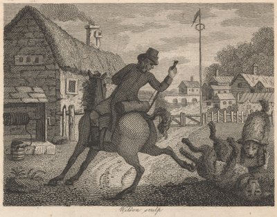 Der Köter, das Pferd und der Schäferhund von Wilson