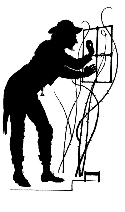 Illustration für The Courtin