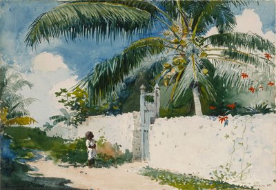 Ein Garten in Nassau von Winslow Homer
