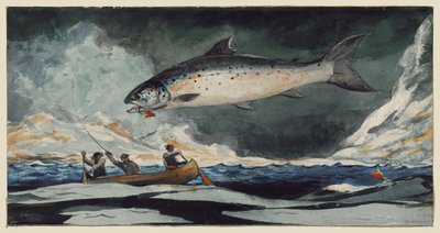 Ein guter Pool, Saguenay River von Winslow Homer