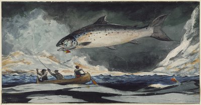 Ein guter Pool, Saguenay River von Winslow Homer