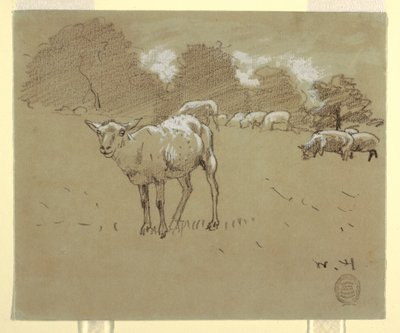 Schafe auf einer Weide, ca. 1875–78 von Winslow Homer