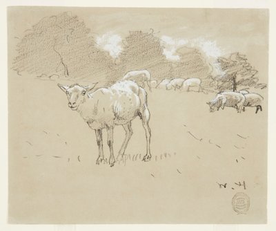 Schafe auf einer Weide von Winslow Homer