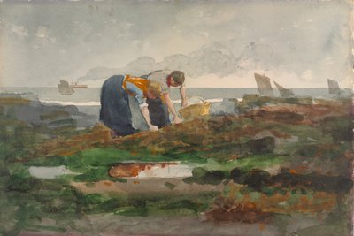 Die Muschelsammler von Winslow Homer