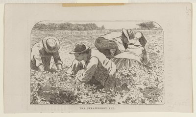 Das Erdbeerbeet von Winslow Homer