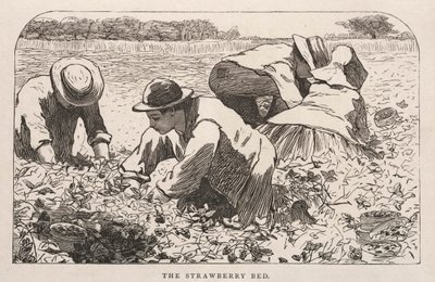 Das Erdbeerbeet, 1868 von Winslow Homer