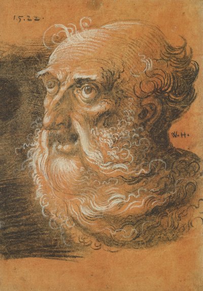 Kopfstudie, 1522 von Wolf Huber