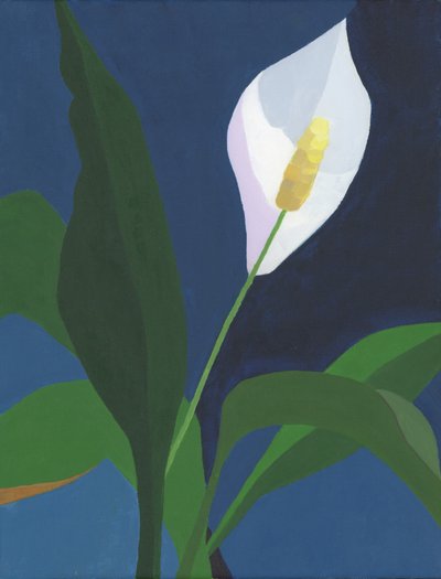 Elegante Friedenslilienblüte von Yvonne Gustafsson