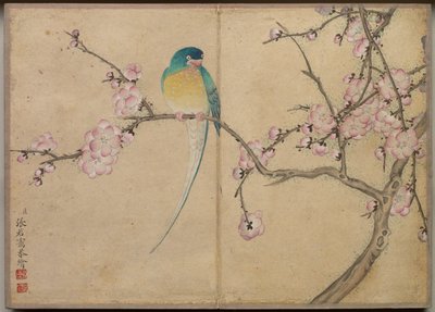 Schreibtischalbum: Blumen- und Vogelmalereien (Vogel mit Pflaumenblüten) von Zhang Ruoai