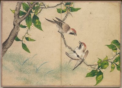 Schreibtischalbum: Blumen- und Vogelmalereien (Schwatzende Spatzen) von Zhang Ruoai
