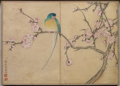 Schreibtischalbum: Blumen- und Vogelmalereien, Vogel mit Pflaumenblüten, 18. Jahrhundert von Zhang Ruoai