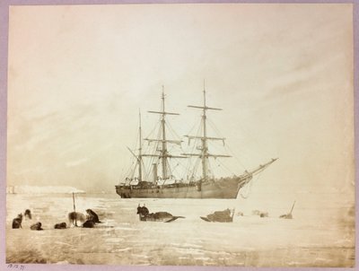 Expedition in die Arktis (1875-1876) des Kapitäns George Nares (1831-1915): H von Frederick (attr. to) Barnard
