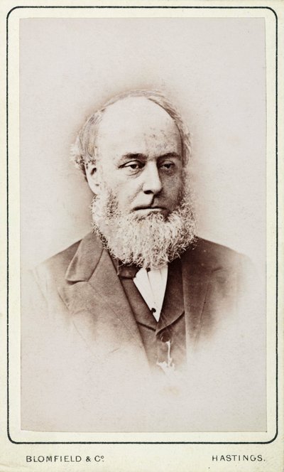 Mr Hackett, Sekretär der General Steam Navigation Company von Frederick (attr. to) Barnard