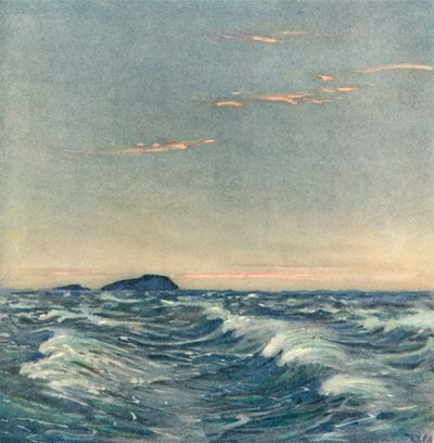 Weiße Pferde von after Donald Maxwell