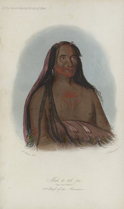 Mah-to-toh-pa, Die vier Bären, 2. Häuptling der Mandan (Aquatinta) von after George Catlin