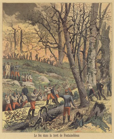 Feuer im Wald von Fontainebleau von after Henri Meyer