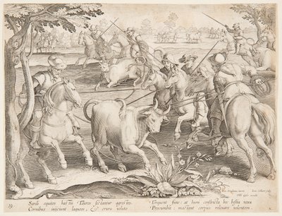 Wilde Bullen fangen von after Jan van der Straet, called Stradanus