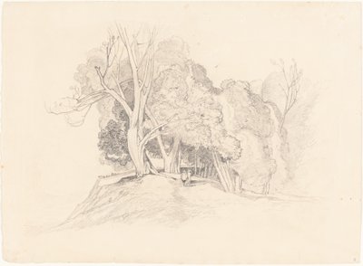Landschaft mit Bäumen von after John Sell Cotman British 19th Century