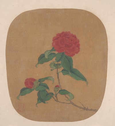 Kamelienblüten von anonymous 